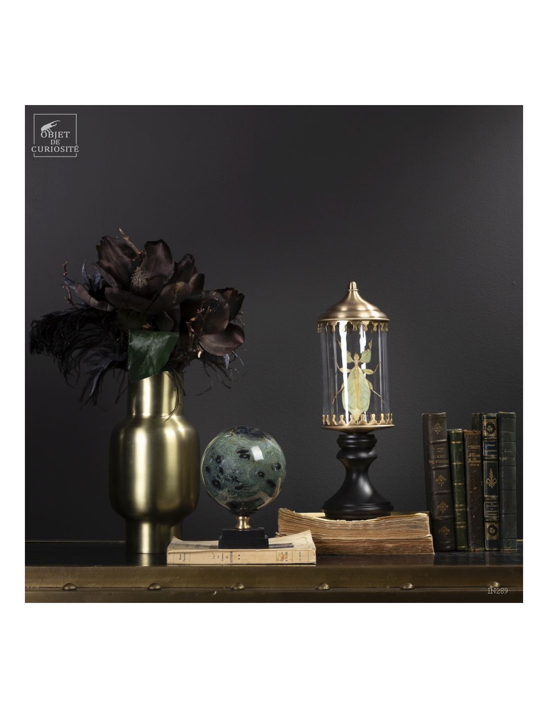 Phasme -Phyllium celebicum- dans... Phasme -Phyllium celebicum- dans...