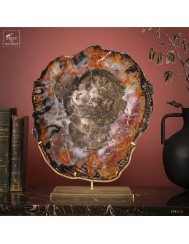 Tranche de bois fossile -Arizona- 10kg