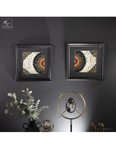 Paire de tableaux en ailes de papillons