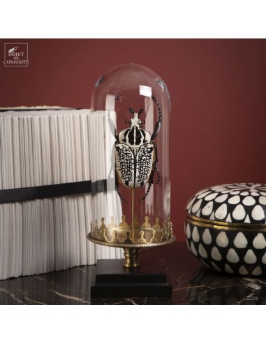 Goliath sous mini globe Goliath sous mini globe