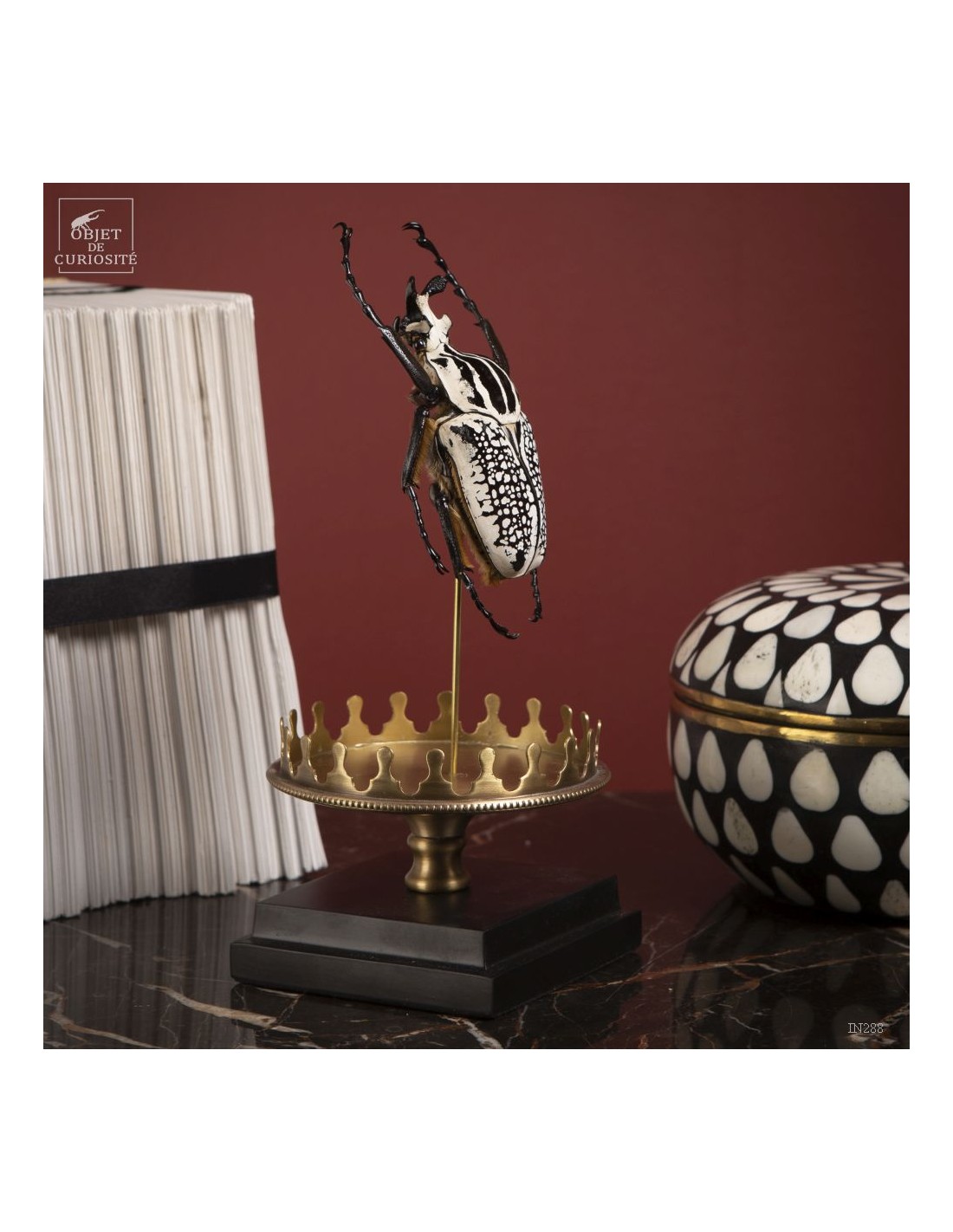 Goliath sous mini globe Goliath sous mini globe