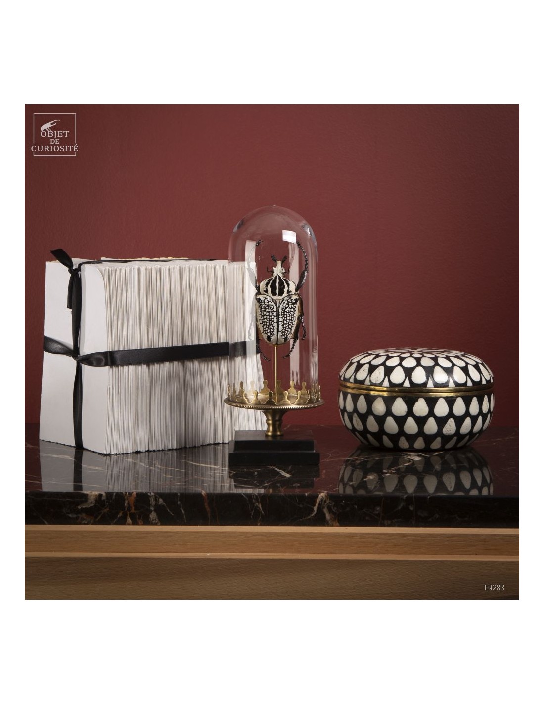 Goliath sous mini globe Goliath sous mini globe