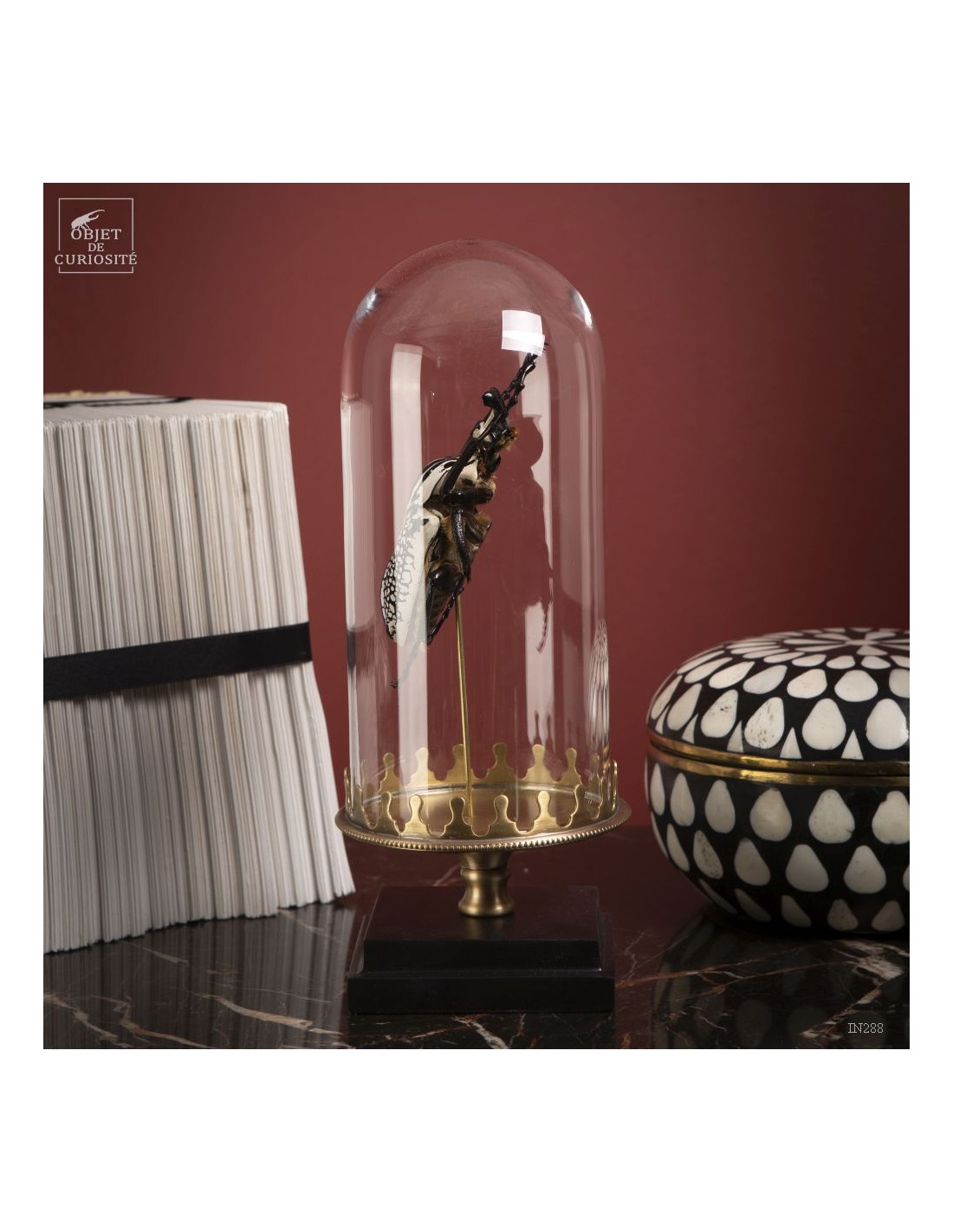 Goliath sous mini globe Goliath sous mini globe