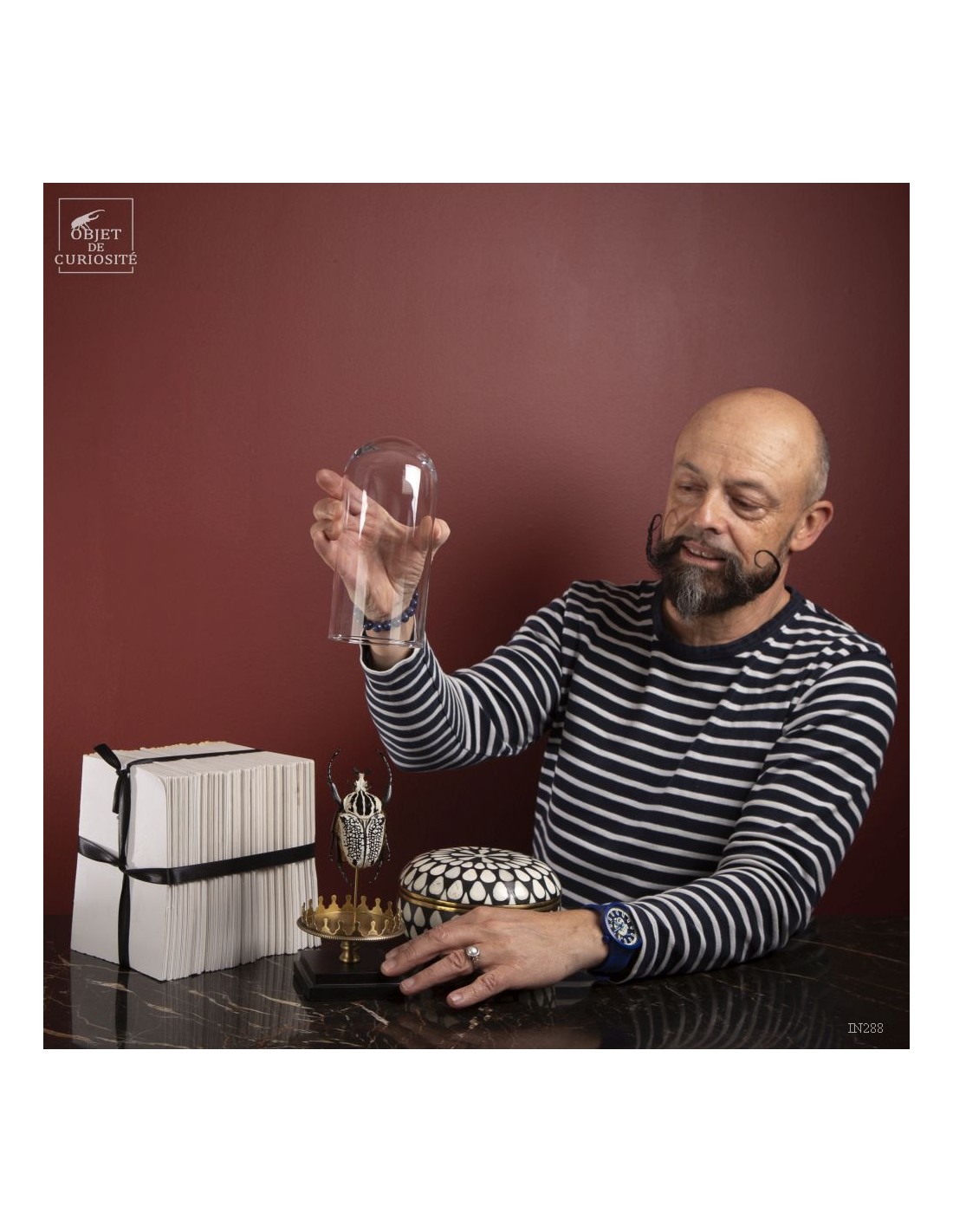 Goliath sous mini globe Goliath sous mini globe