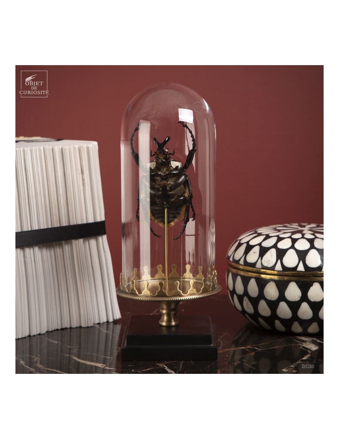 Goliath sous mini globe Goliath sous mini globe