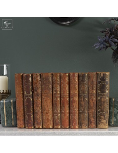 Gustave Flaubert  :  10 books