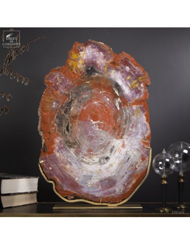 Tranche de bois fossile -Arizona- 36kg