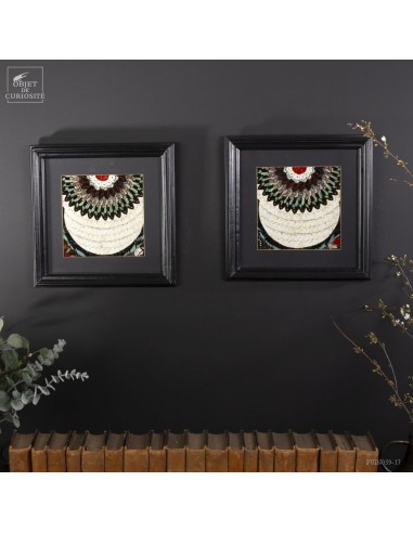 Pair of Butterfly Wing frames