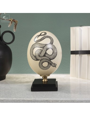 couleuvre, dessin original à l'encre...