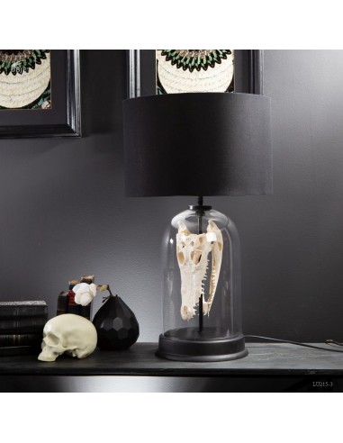 Lampe avec Crane de crocodile SIAMENSIS