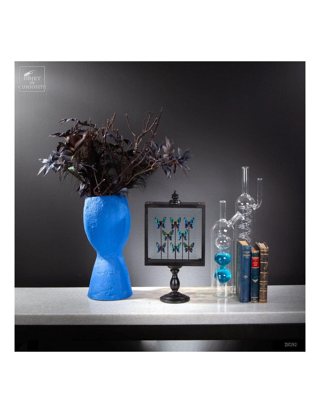 8 Colorfull small butterflies in standing box