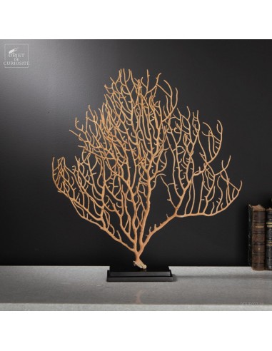 beige sean fan on black metal base.