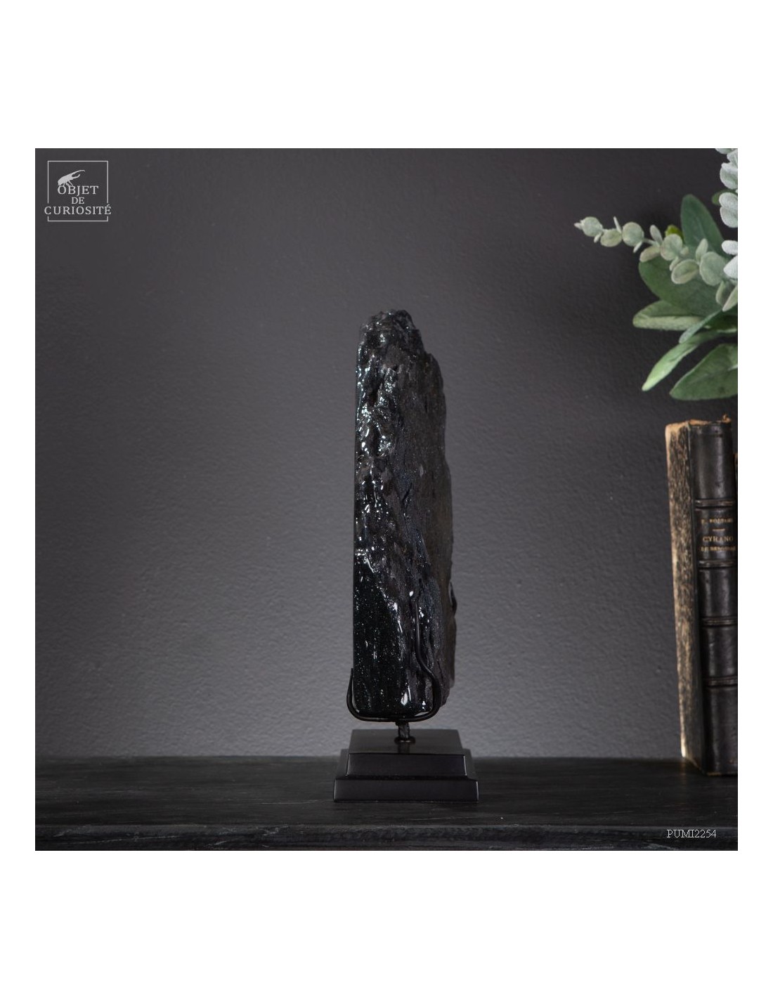 Specularite du Michigan (7.9kg) Specularite du Michigan (7.9kg)