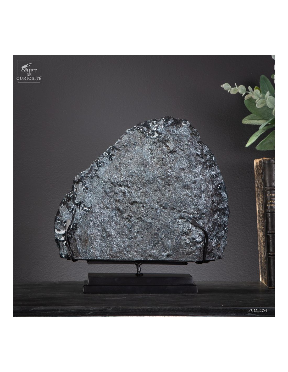 Specularite du Michigan (7.9kg) Specularite du Michigan (7.9kg)