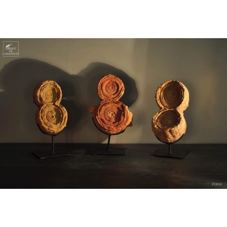 Stromatolite double sur support fer (sphèrique) Stromatolite double sur support fer (sphèrique)