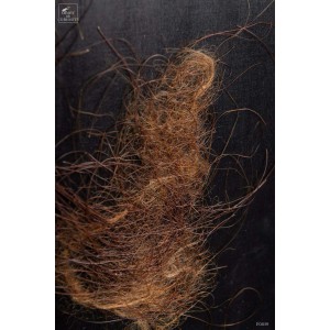 Mammoth hair in black frame 2