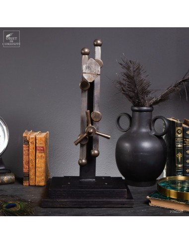 Prehistoric water inside a rock...