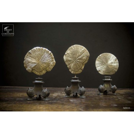 Pyrite dollar (USA) sur socle baroque laiton