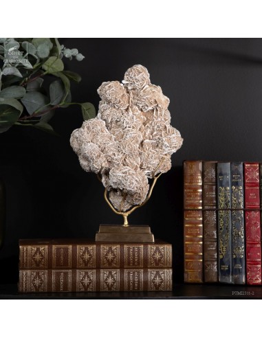 Rose des sables du Mexique (1.7KG)