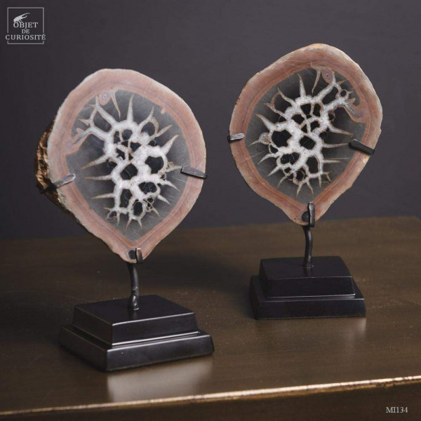 Pair of black and white Moroccan septaria