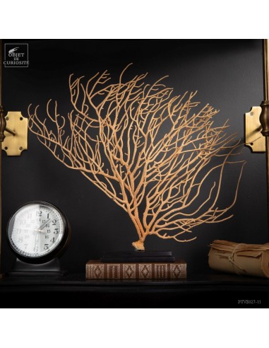 beige sean fan on black metal base.