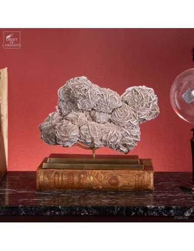 Rose des sables du Mexique (5KG)