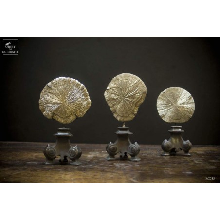 Pyrite dollar (USA) sur socle baroque laiton