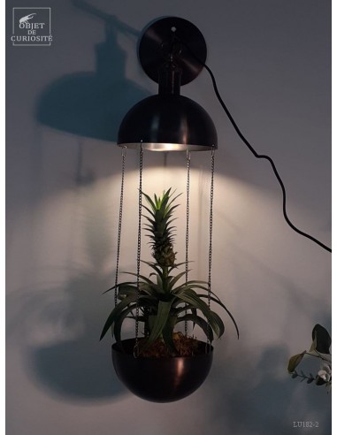 Applique porte plante oxidée