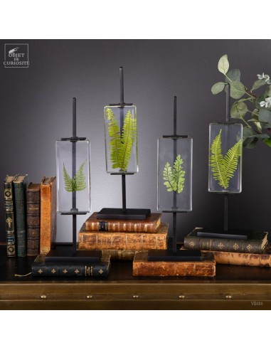 Série de 4 Fougères dans résine