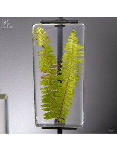 Set of 4 fern in resin 2