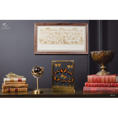 Tiger Eye mineral ball, spinning brass stand