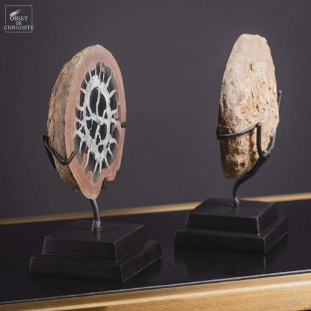 Pair of black and white Moroccan septaria