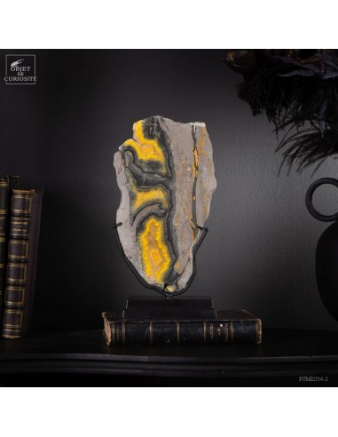 Tranche de jaspe Bumblebee (Java) - 555g