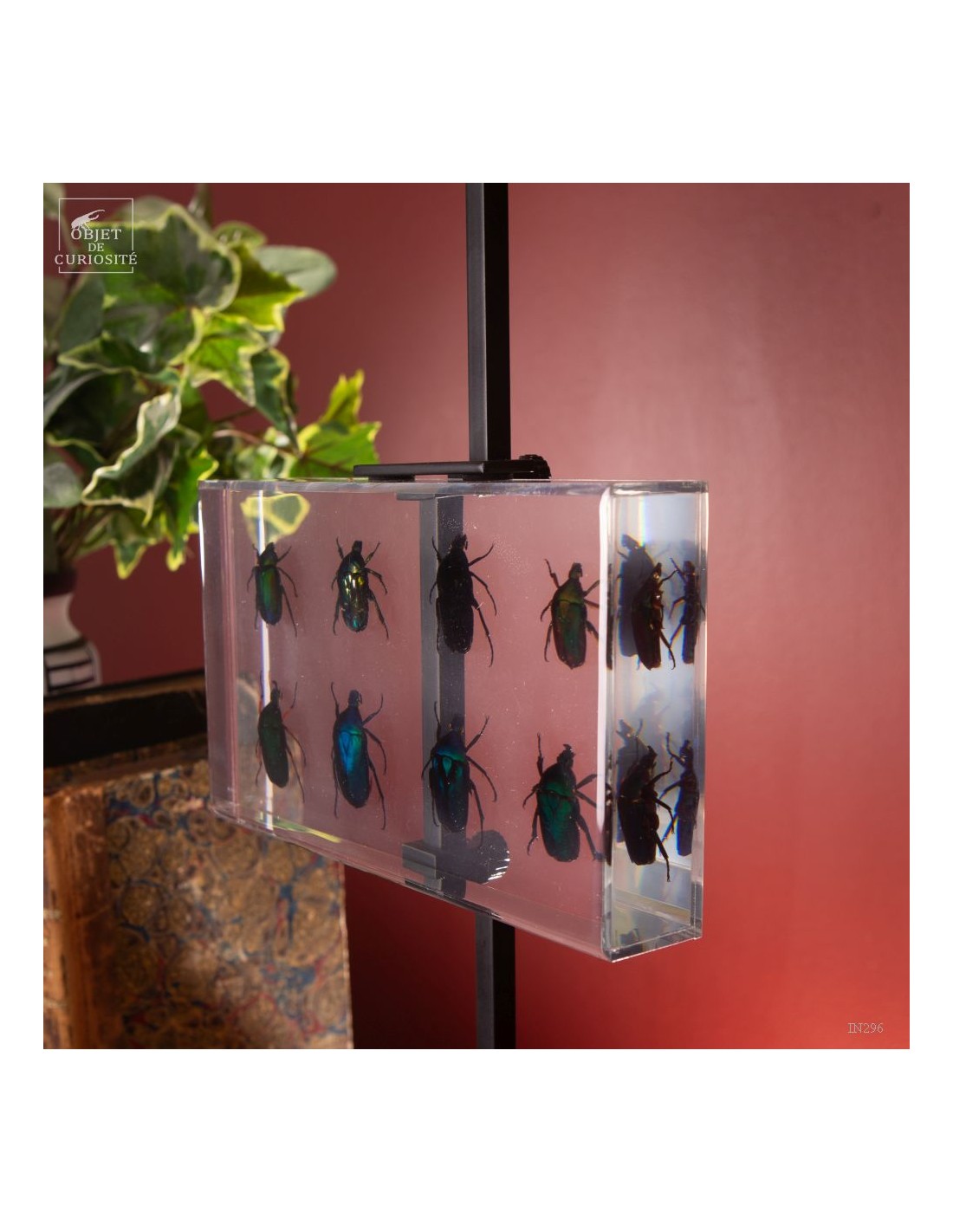 8 cétoines vertes dans résine 8 cétoines vertes dans résine