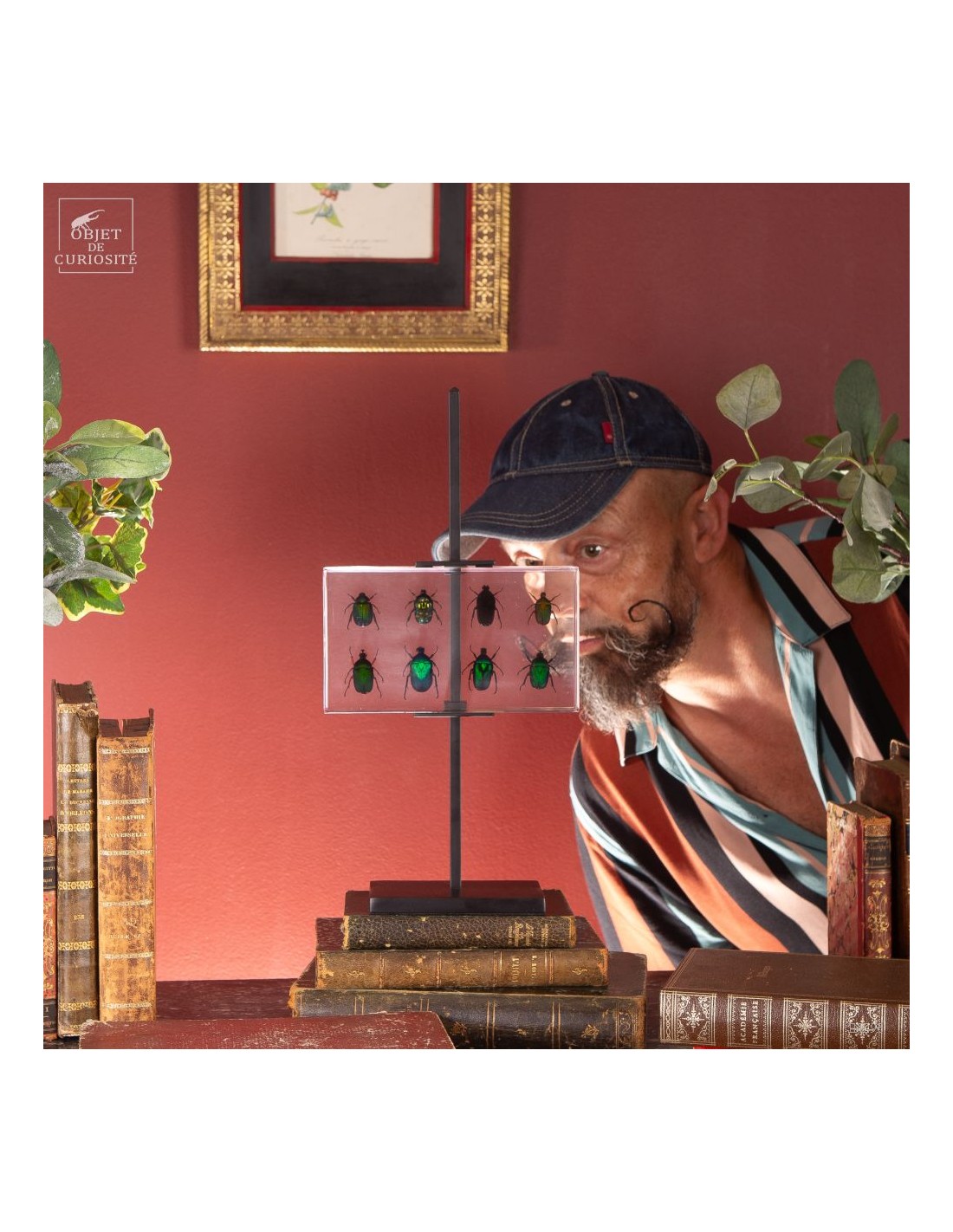 8 cétoines vertes dans résine 8 cétoines vertes dans résine