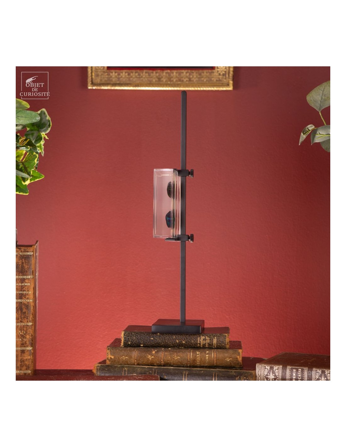 8 cétoines vertes dans résine 8 cétoines vertes dans résine