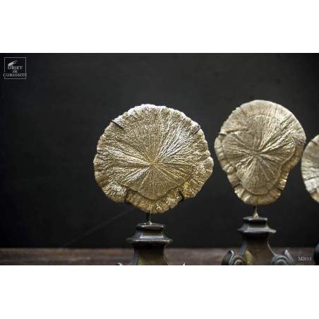Pyrite dollar (USA) sur socle baroque laiton