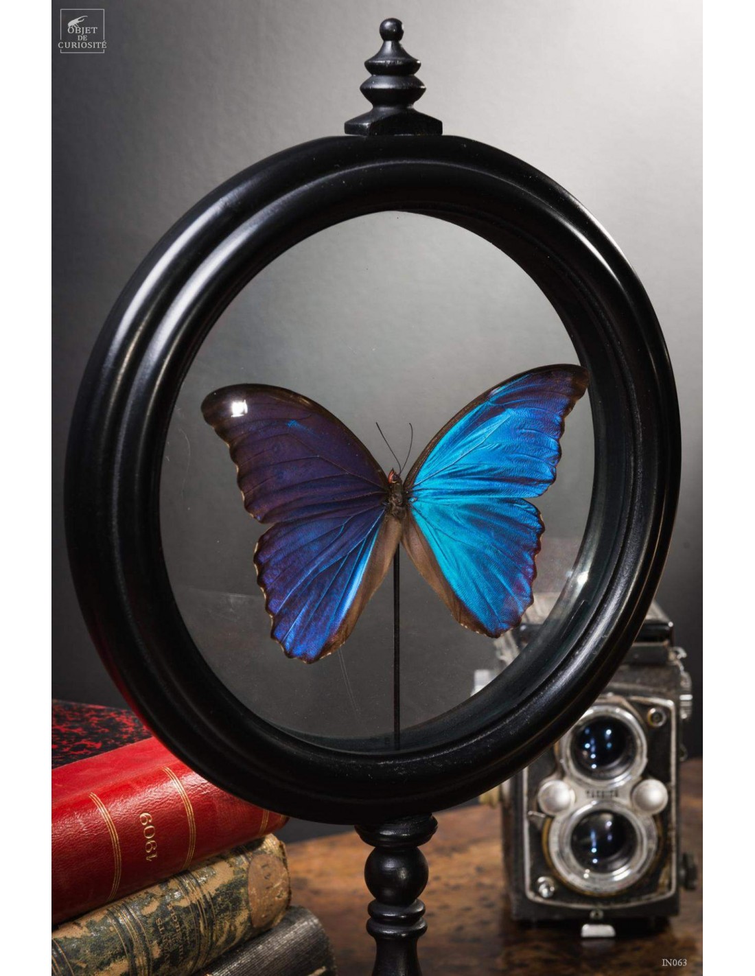 Papillon bleu dans reliquaire GM Papillon bleu dans reliquaire GM