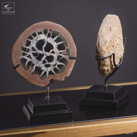 Pair of black and white Moroccan septaria