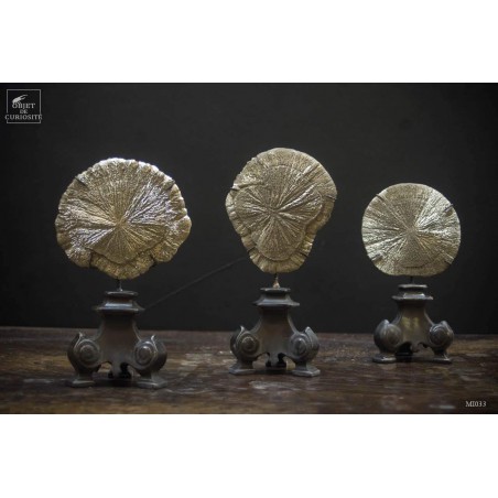 Pyrite dollar (USA) sur socle baroque laiton