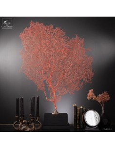 Bright red gorgonian on...