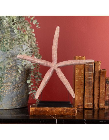 Natural pink starfish