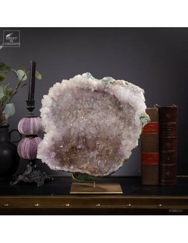 Amethyst flower (Brazil)