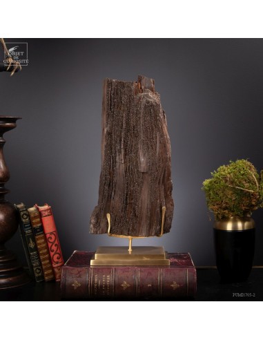 Tronc fossile cristallisé 7kg