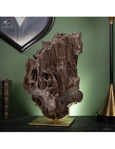 Crystallized fossil trunk -10kg