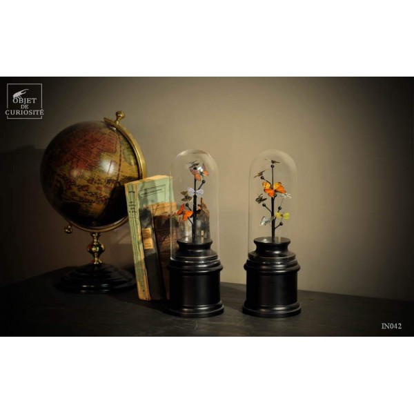 Papillon (lycènes européen) 8 sous mini globe