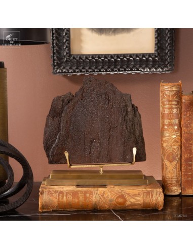 Tronc fossile cristallisé (3kg) sur...