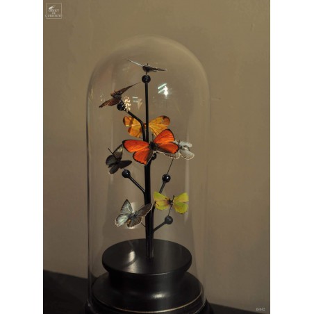 Papillon (lycènes européen) 8 sous mini globe