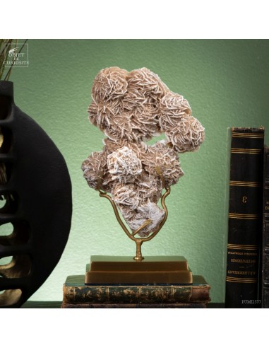Chihuahua desert sand rose on brass
