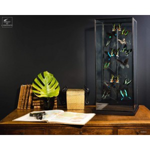 Green butterflies  under glass 2
